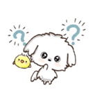 背景が動く！ワンコdeはんこ♡ハッピー毎日（個別スタンプ：19）