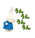 毎日使える♪ミッフィー（3Dタッチ）（個別スタンプ：9）