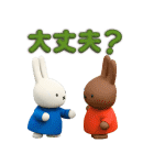 毎日使える♪ミッフィー（3Dタッチ）（個別スタンプ：18）