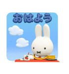 毎日使える♪ミッフィー（3Dタッチ）（個別スタンプ：19）