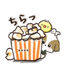愛犬ワンコdeカフェ♡犬の日【カスタム】（個別スタンプ：29）