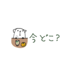 mottoの白豆犬♡家族連絡用（個別スタンプ：8）