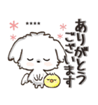 愛犬ワンコdeはんこ【改正版】♡マルチーズ（個別スタンプ：5）
