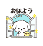 愛犬ワンコdeはんこ【改正版】♡マルチーズ（個別スタンプ：9）