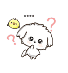 愛犬ワンコdeはんこ【改正版】♡マルチーズ（個別スタンプ：19）