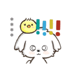 愛犬ワンコdeはんこ【改正版】♡マルチーズ（個別スタンプ：20）