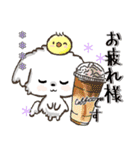 愛犬ワンコdeはんこ【改正版】♡マルチーズ（個別スタンプ：21）