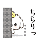 愛犬ワンコdeはんこ【改正版】♡マルチーズ（個別スタンプ：28）