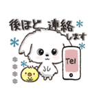 愛犬ワンコdeはんこ【改正版】♡マルチーズ（個別スタンプ：29）