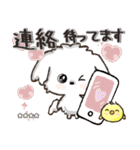 愛犬ワンコdeはんこ【改正版】♡マルチーズ（個別スタンプ：30）