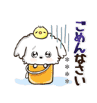 愛犬ワンコdeはんこ【改正版】♡マルチーズ（個別スタンプ：31）