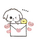 愛犬ワンコdeはんこ【改正版】♡マルチーズ（個別スタンプ：37）