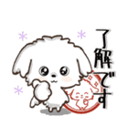 飛び出す♪ワンコdeはんこ♡ハッピー毎日（個別スタンプ：1）