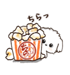 飛び出す♪ワンコdeはんこ♡ハッピー毎日（個別スタンプ：14）