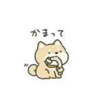 きままとオバケとイヌ（個別スタンプ：6）