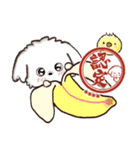 愛犬ワンコdeはんこ☆シンプル（個別スタンプ：1）