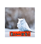 "冬の折り紙動物"（個別スタンプ：27）