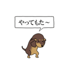 激しく尻尾をふるイヌ size L 4（個別スタンプ：1）