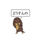 激しく尻尾をふるイヌ size L 4（個別スタンプ：2）