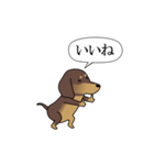 激しく尻尾をふるイヌ size L 4（個別スタンプ：6）