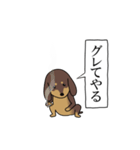 激しく尻尾をふるイヌ size L 4（個別スタンプ：9）