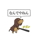 激しく尻尾をふるイヌ size L 4（個別スタンプ：11）