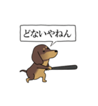 激しく尻尾をふるイヌ size L 4（個別スタンプ：12）