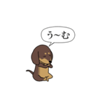 激しく尻尾をふるイヌ size L 4（個別スタンプ：13）
