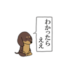 激しく尻尾をふるイヌ size L 4（個別スタンプ：15）