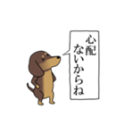 激しく尻尾をふるイヌ size L 4（個別スタンプ：19）
