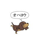 激しく尻尾をふるイヌ size L 4（個別スタンプ：21）