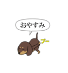 激しく尻尾をふるイヌ size L 4（個別スタンプ：23）