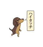 激しく尻尾をふるイヌ size L 4（個別スタンプ：24）