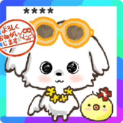 [LINEスタンプ] モコモコになりたいワンコ♡夏♡愛犬シロ