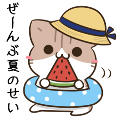 [LINEスタンプ] 毎日五月病なねこたち 夏