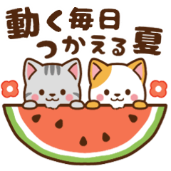 [LINEスタンプ] ミル＆モカ 動く,毎日使える 夏ver