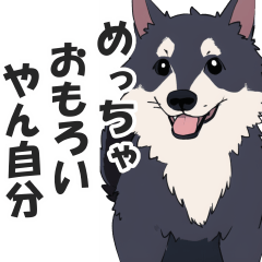 [LINEスタンプ] 微妙に上から目線な関西弁ドッグ