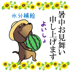 [LINEスタンプ] 激しく尻尾をふるイヌ 【夏】