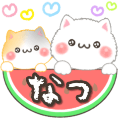 [LINEスタンプ] 夏♡もふもふネコちゃん