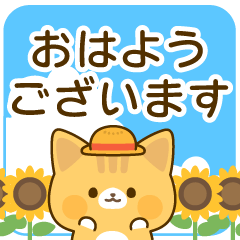 [LINEスタンプ] 茶トラの癒し言葉スタンプ2(夏)