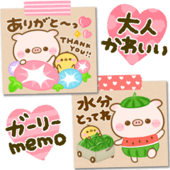 [LINEスタンプ] 夏のぽこちゃん♡大人可愛いメモ