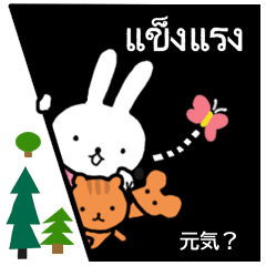 [LINEスタンプ] うさぎのメグ タイ語・日本語編