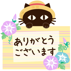 [LINEスタンプ] 【丁寧】大人の黒ねこ×Summer