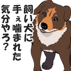 [LINEスタンプ] 微妙に上から目線な関西弁ドッグ3
