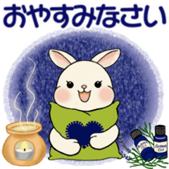 [LINEスタンプ] ラブリーうさぎさん ♡ よく使う言葉