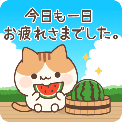 [LINEスタンプ] 飛び出す！ラブリーなにゃんこ♥夏ver.