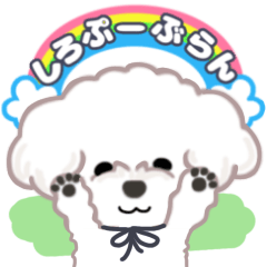 [LINEスタンプ] トイプーブラン
