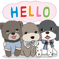 [LINEスタンプ] プードル三匹の姉妹