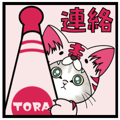[LINEスタンプ] 【家族連絡】虎ぽんにゃん【飛び出す】