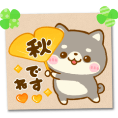 [LINEスタンプ] 秋の豆柴日和♡ほっこりメモ